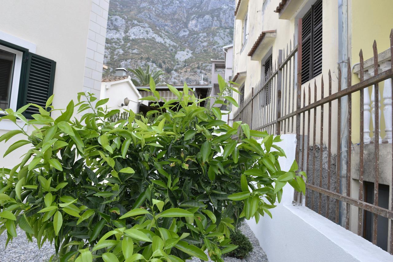 Apartamento Melodia del Mare Kotor Exterior foto